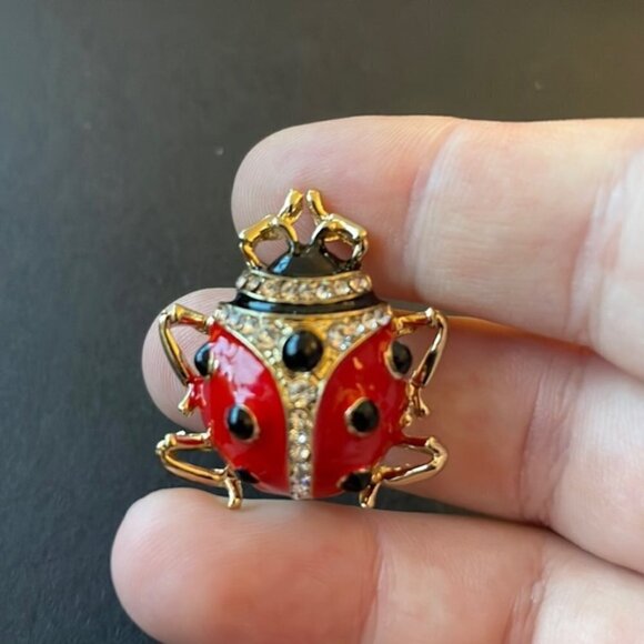 Anthropologie ladybug 🐞 brooch - Picture 1 of 3